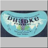 charkownovobaya (30).jpg